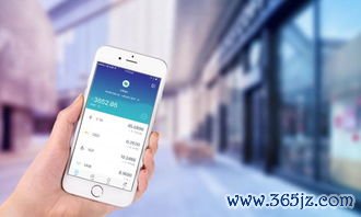 钱包安全锁在哪里_如何在imToken钱包APP中管理安全设置_mycelium钱包安全