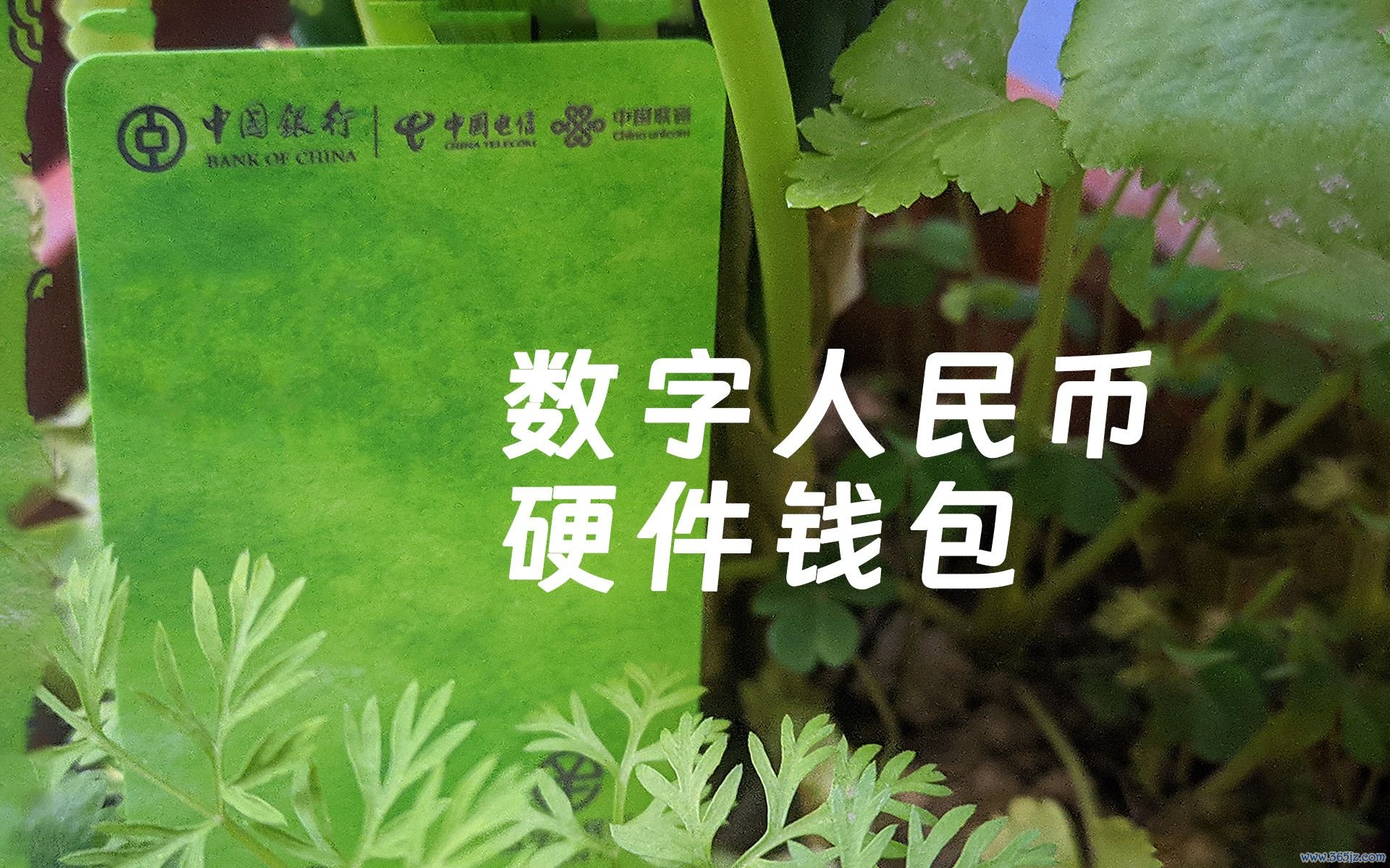 imtoken钱包的安全性_imtoken钱包视频教学_imtoken钱包是什么操作
